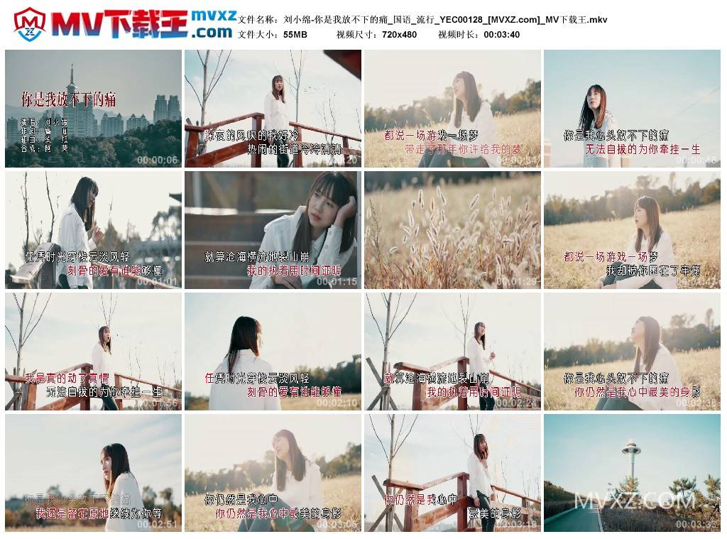 刘小绵-你是我放不下的痛_国语_流行_YEC00128